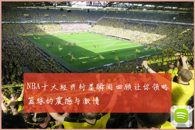 NBA十大经典封盖瞬间回顾让你领略篮球的震撼与激情