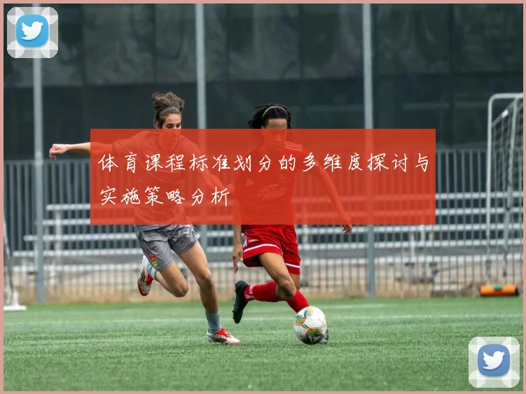 体育课程标准划分的多维度探讨与实施策略分析